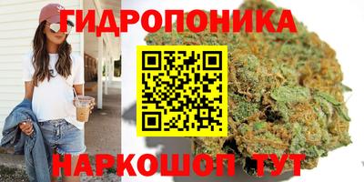 гидропоника Усть-Джегута