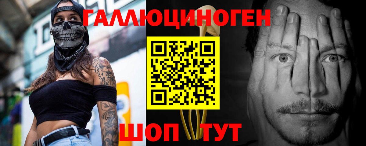 Галлюциногенные грибы прущие грибы  Псилоцибиновые грибы мицелий  Бердск  Вход с VPN 